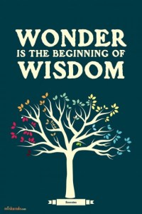 TL005VG-wonder-is-the-beginning-of-wisdom-poster